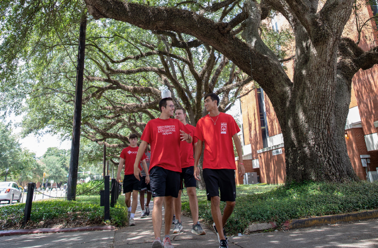 University of Louisiana at 69传媒 students walking underneath a canopy of oak trees on campus